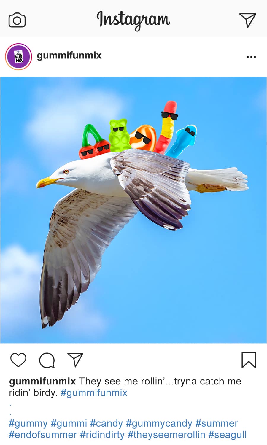 gummis riding on a sea gull