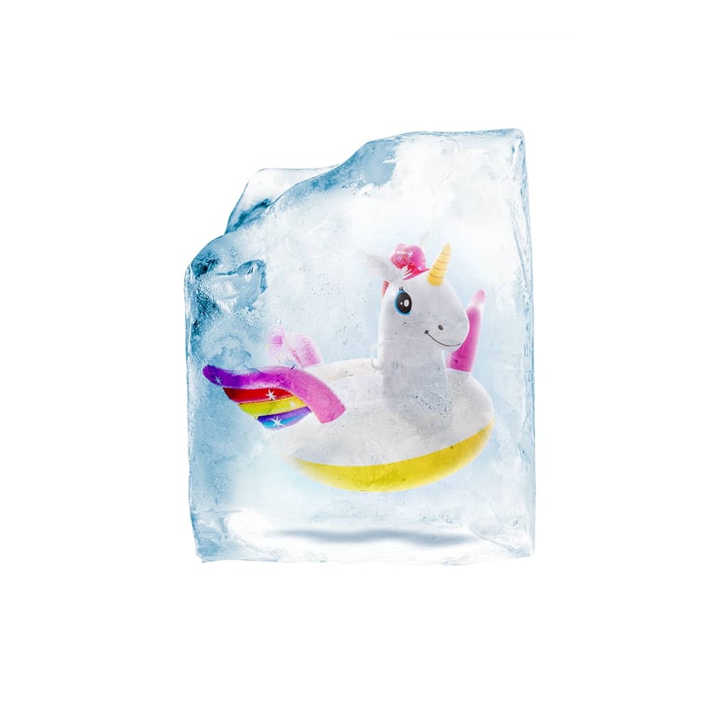 inflatable pegasus unicorn in an ice cube